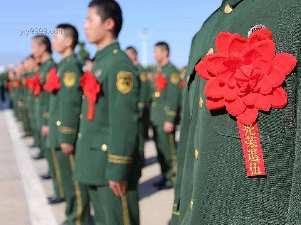 幼儿园跳绳热兴起：未来趋势与简易指导策略